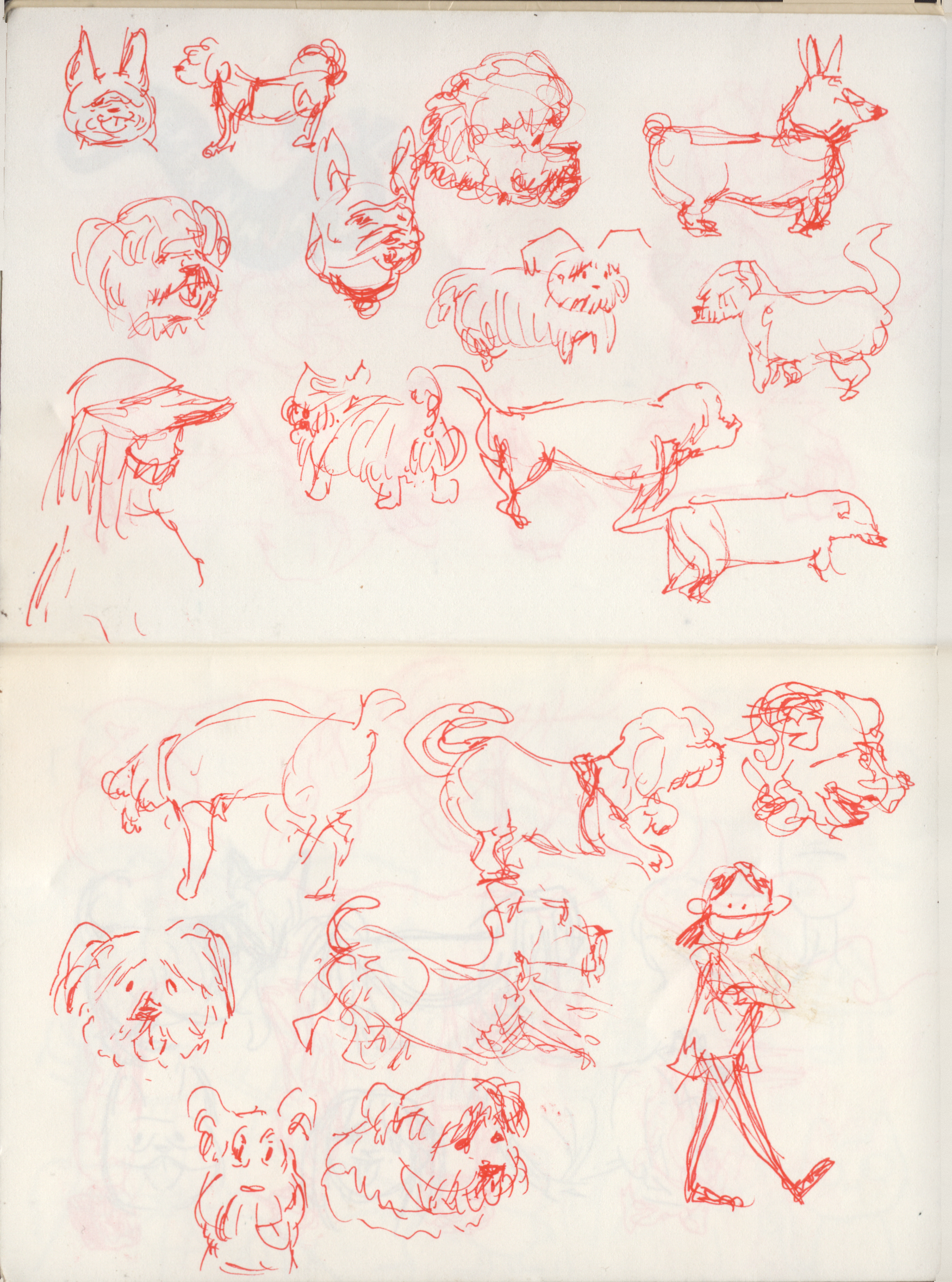sketch_book_1