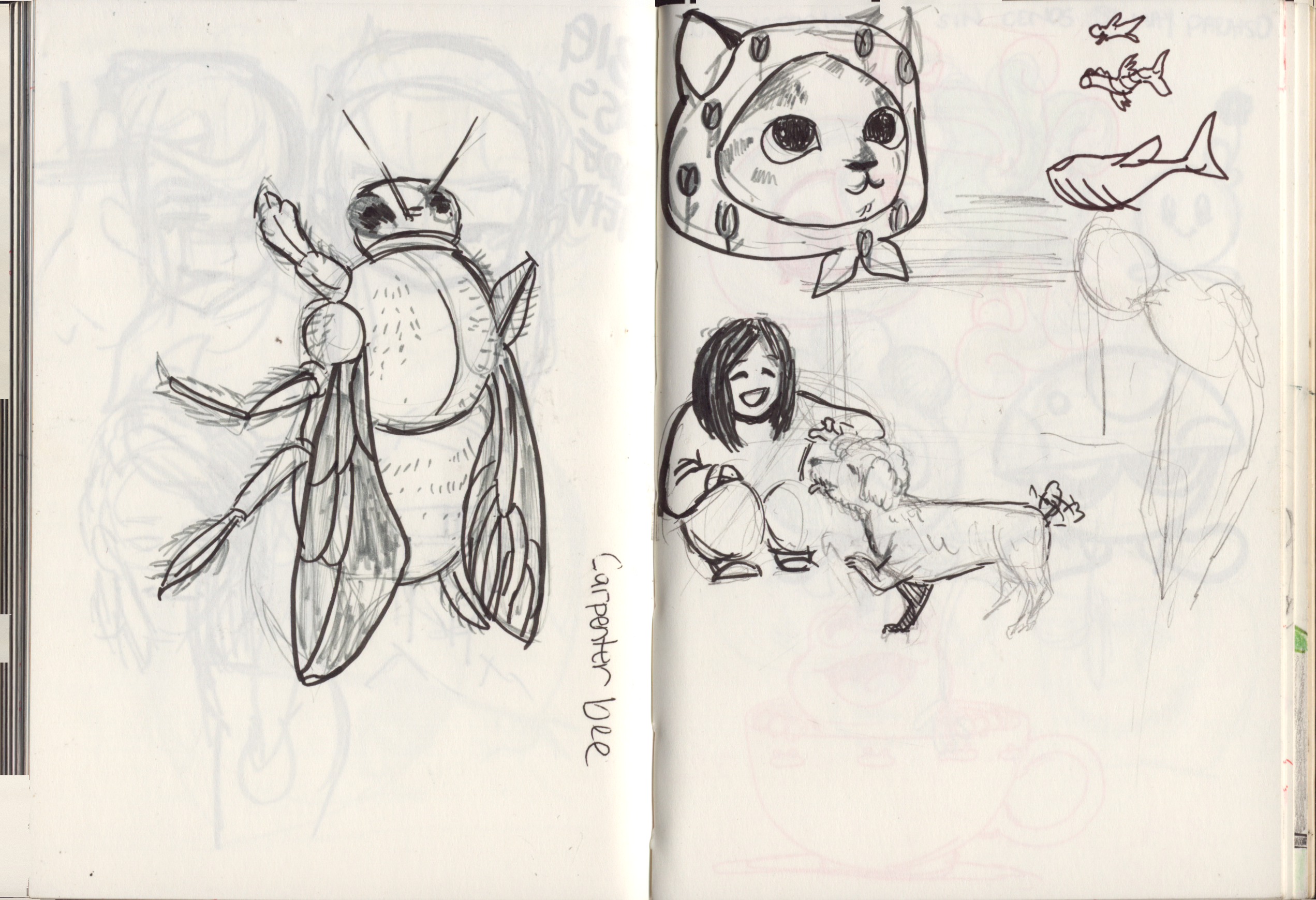 sketch_book_8