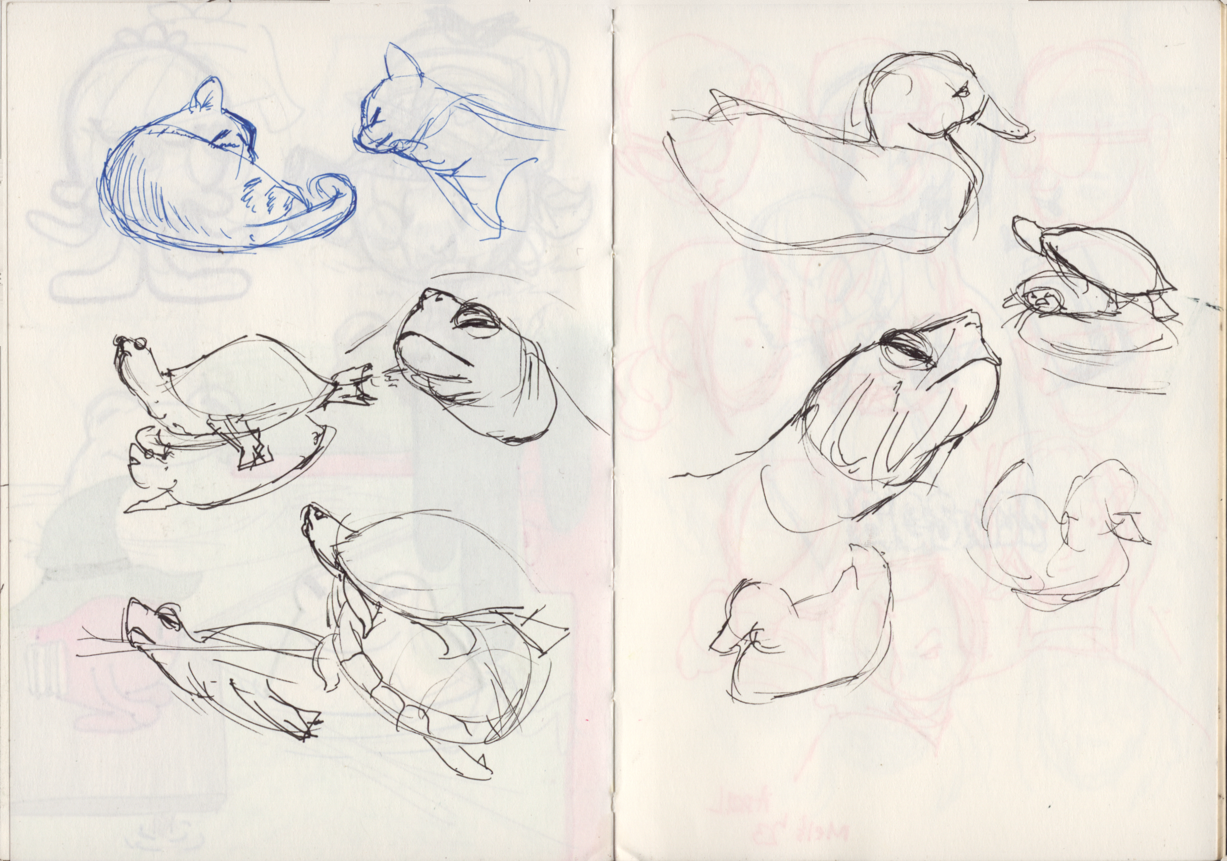 sketch_book_9